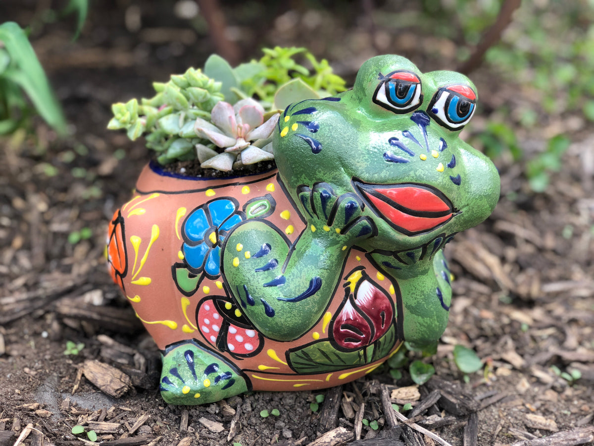 Terracotta Painted Frogs – XOCHI'S GIFT SHOP