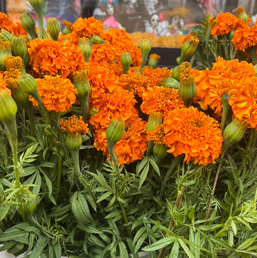Cempasúchil Bouquet – XOCHI’S GIFT SHOP